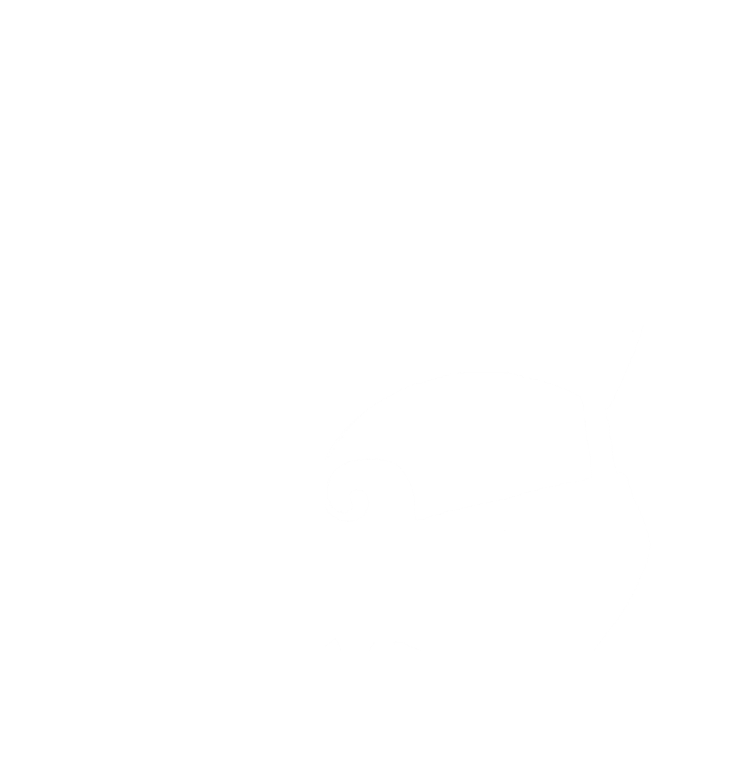 Logo Mairea Seguí Blanco
